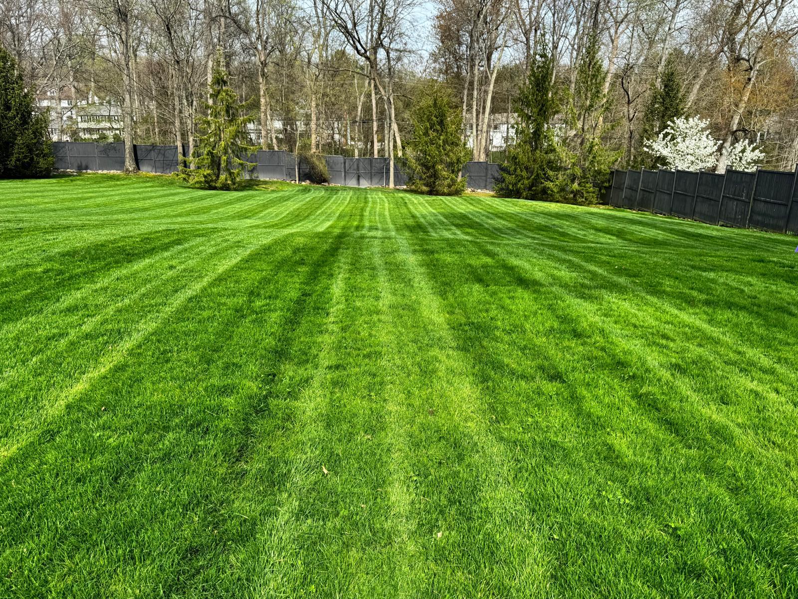 Front lawn of a large colonial home with driveway and mature trees
