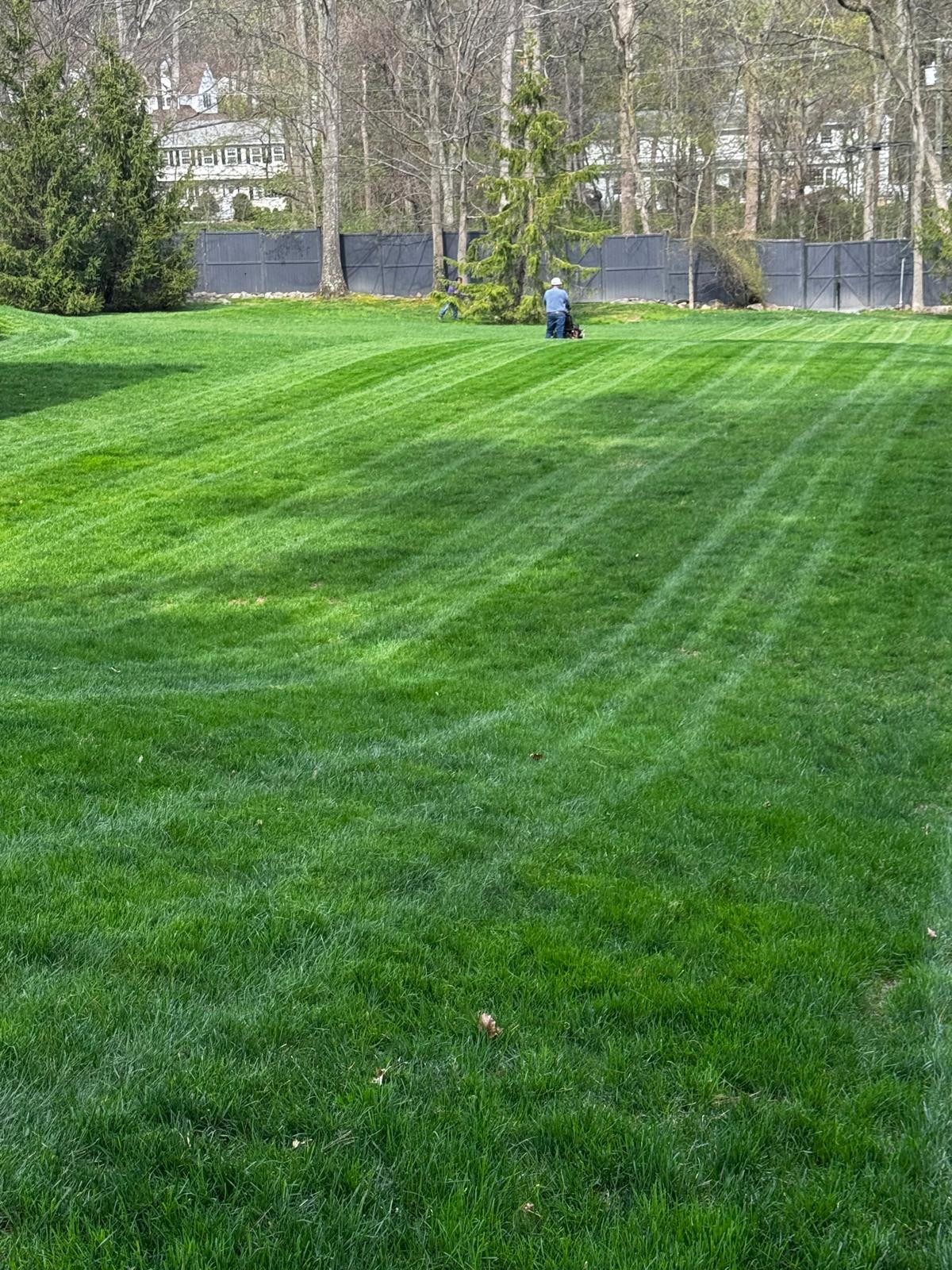 Transition from stone patio to a wide, striped backyard lawn