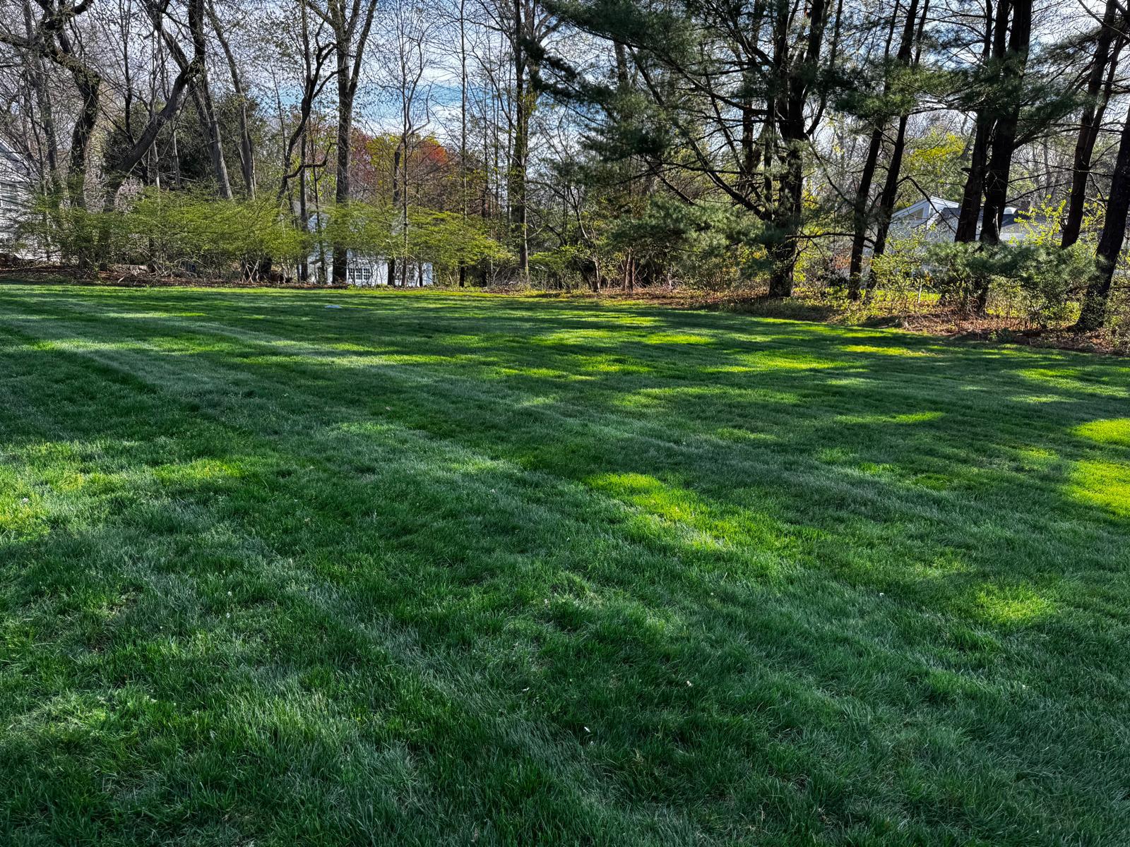 Expansive freshly mown lawn with clean, professional stripes