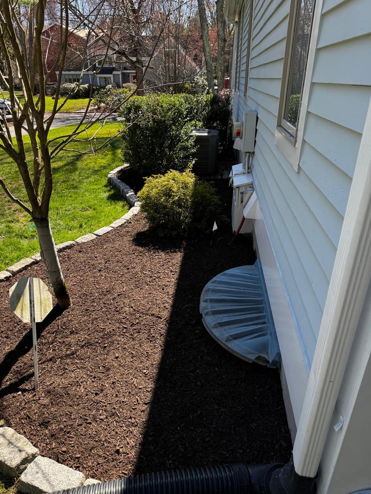 Three round boxwoods in dark mulch bordered by grey gravel