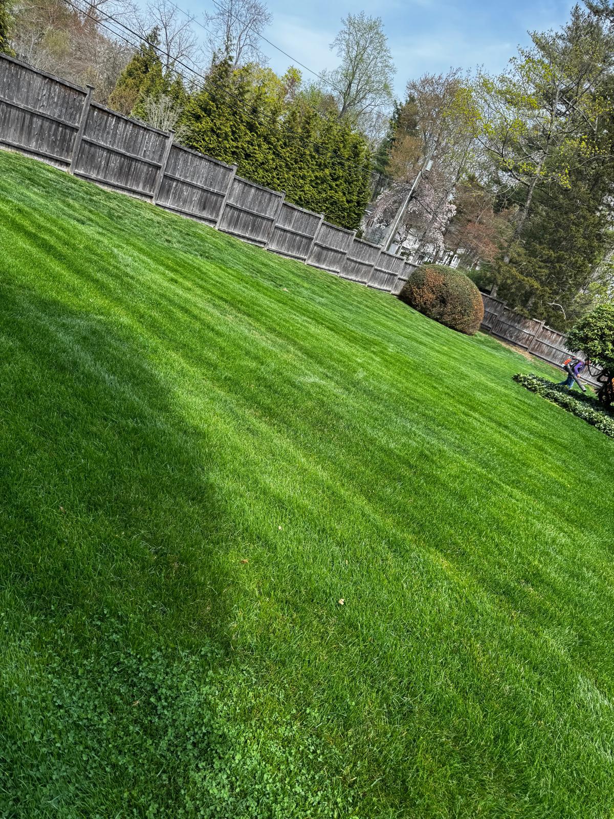 High-angle view of a large striped lawn showing the scale of maintenance