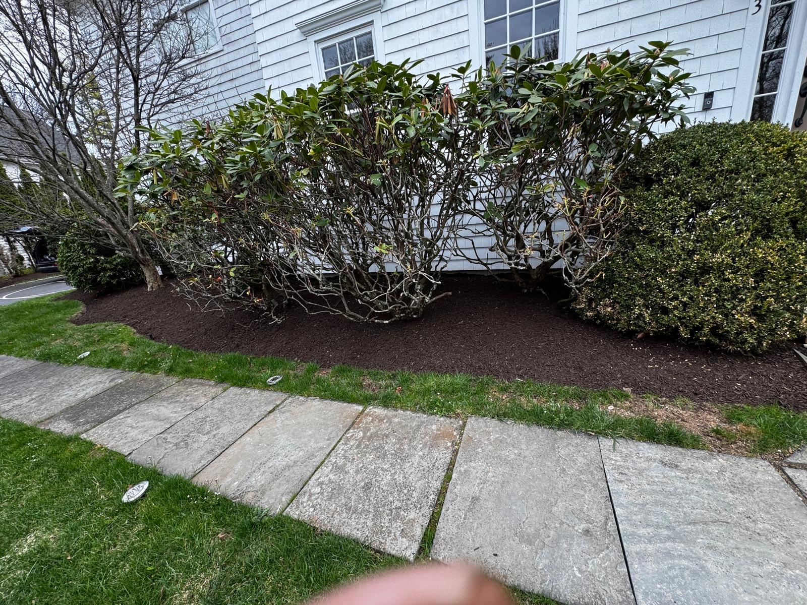 Freshly mulched tree rings along a white property fence line